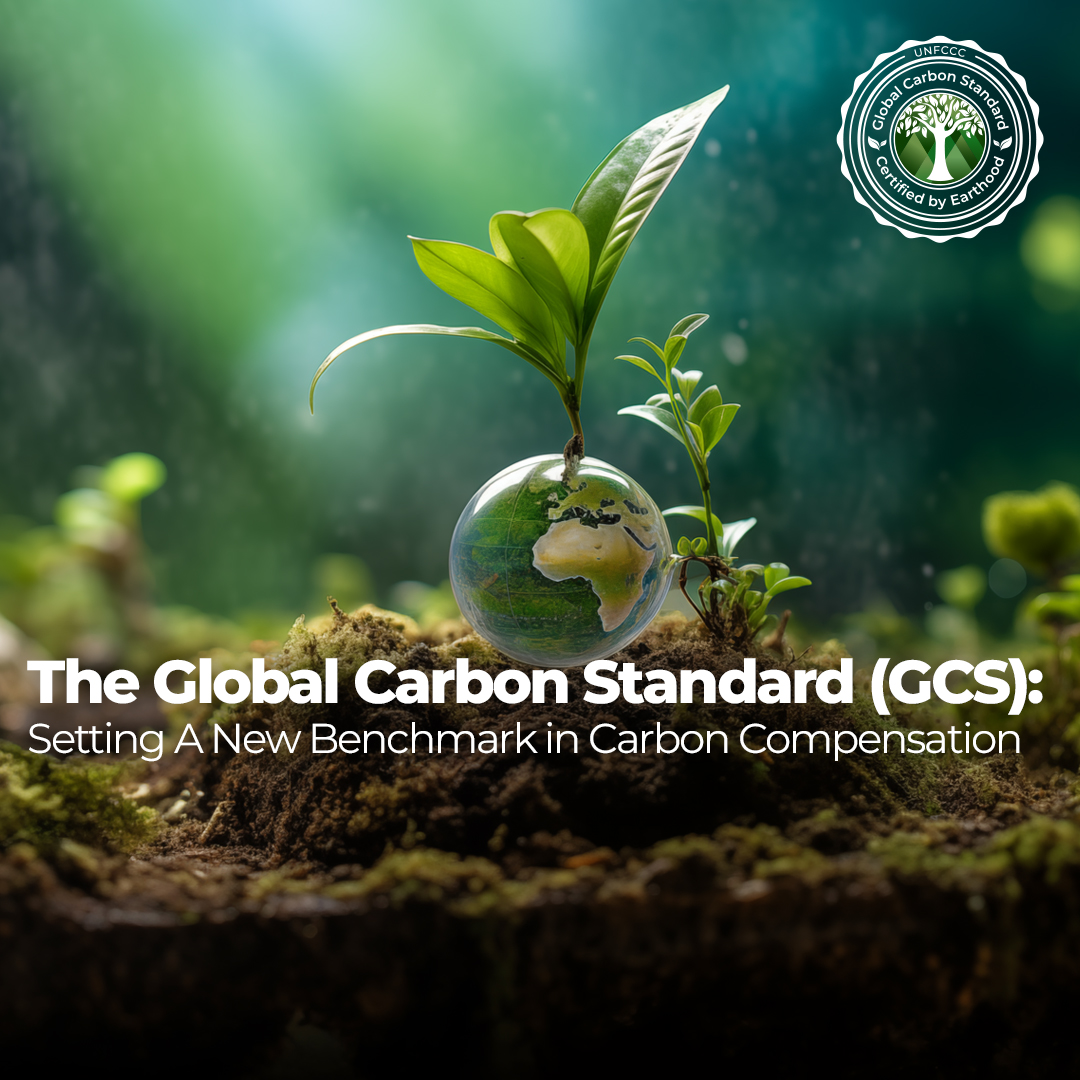 The Global Carbon Standard (GCS): Setting A New Benchmark in Carbon ...